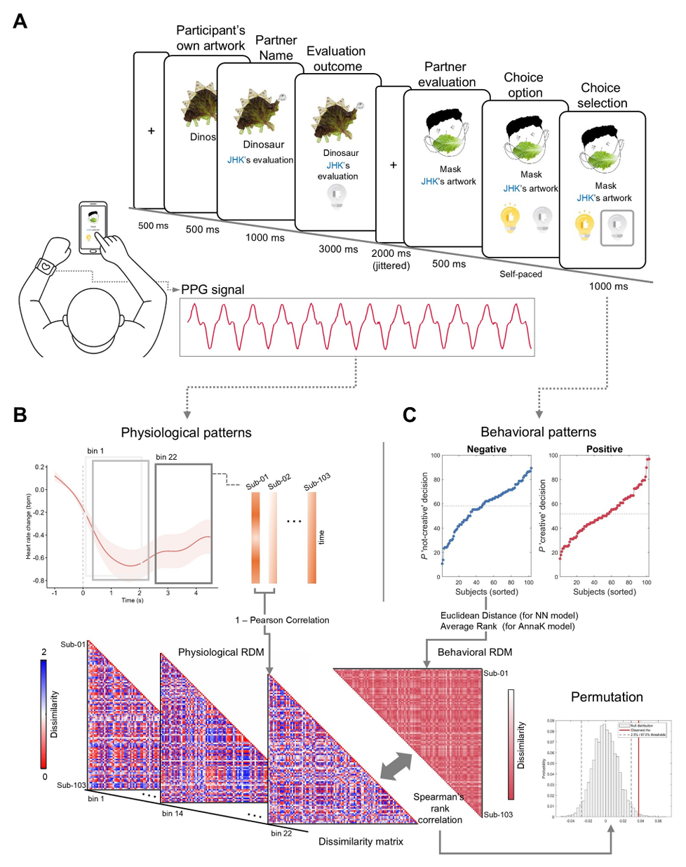 Task design for social evaluative feedback with PPG recording, and intersubject representational similarity analysis between physiological and behavioral patterns