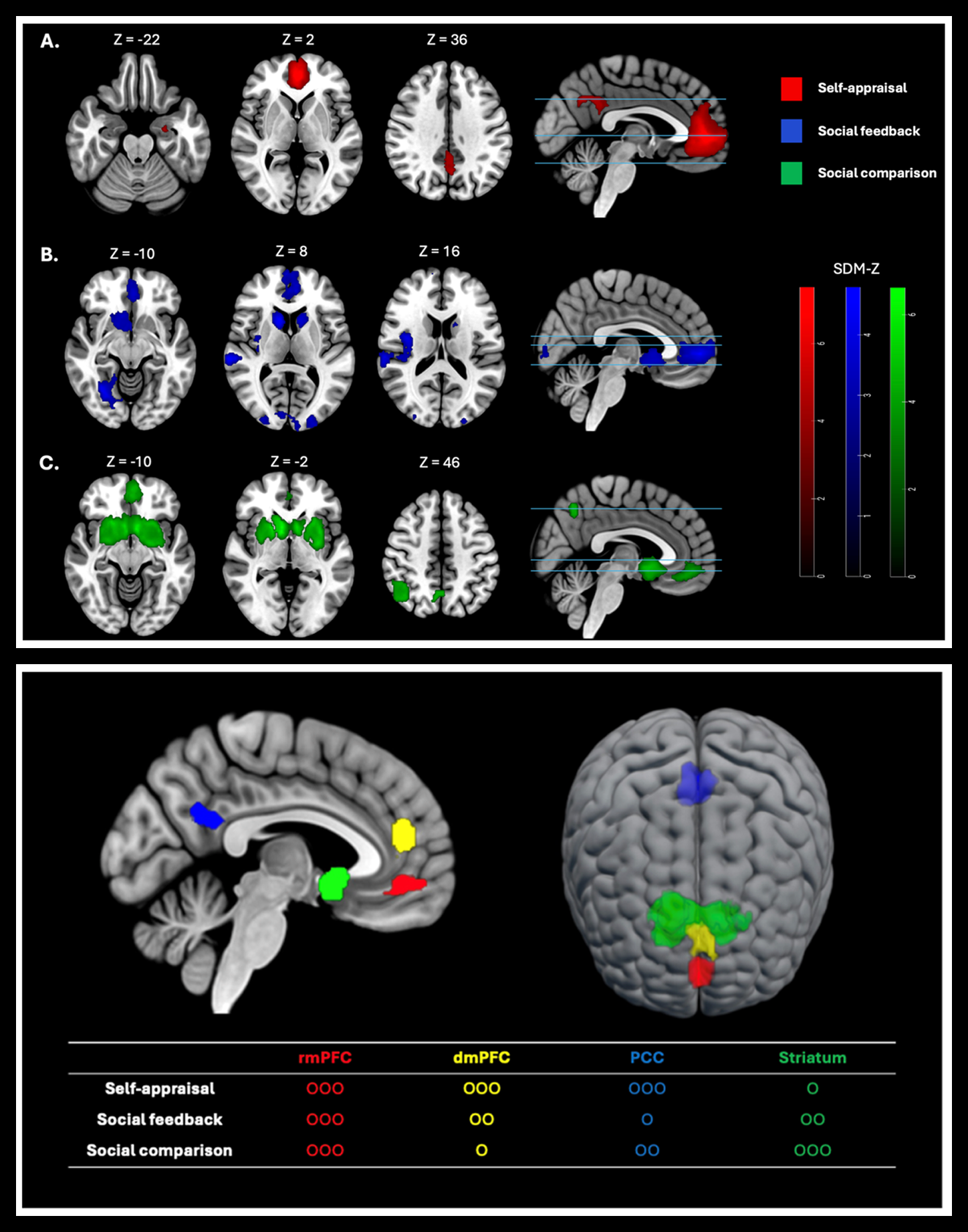 Meta-analytic brain maps for self-appraisal, social feedback, and social comparison, and the shared/distinct roles of rmPFC, dmPFC, PCC, and striatum