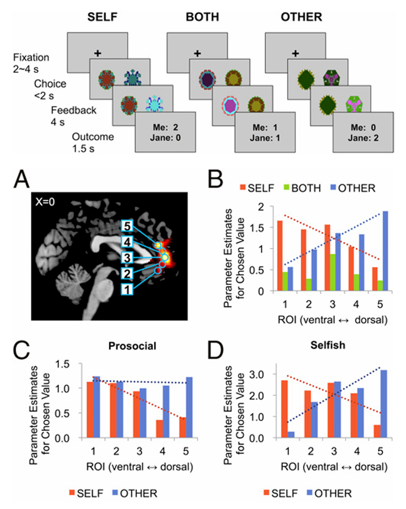 Prosocial learning task design and MPFC spatial-gradient results showing ventral-to-dorsal shift from self-regarding to other-regarding value, differing between prosocial and selfish individuals