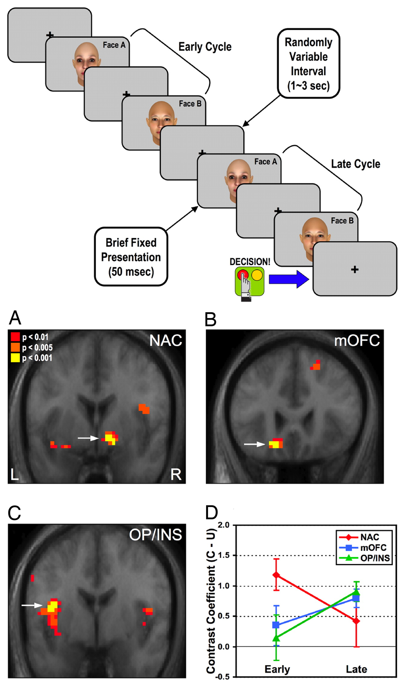 Preference judgment task design and fMRI results (NAC, mOFC, OP/INS)