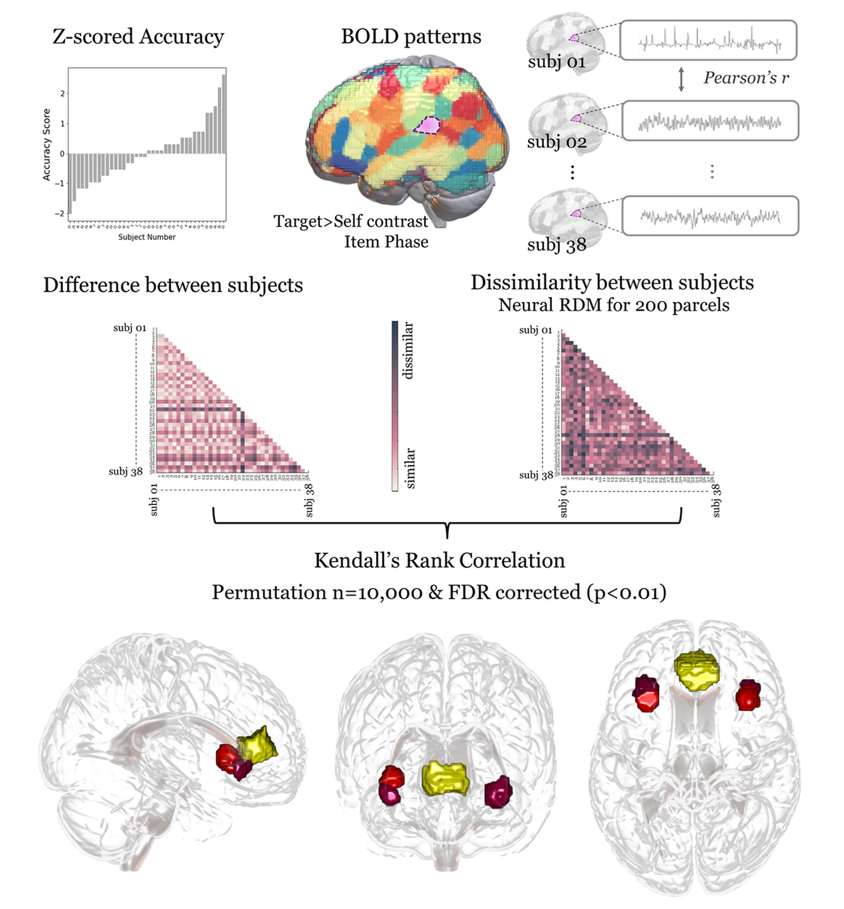 Inter-subject representational similarity analysis pipeline linking individual differences in preference-estimation accuracy to multivoxel BOLD pattern dissimilarity in mPFC and anterior insula
