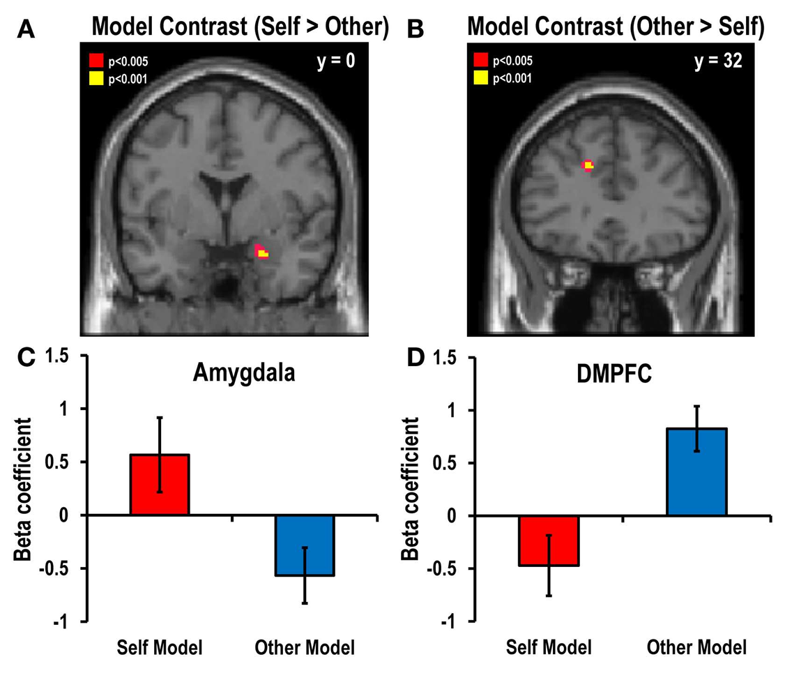 Amygdala tracks self-model risk decisions; DMPFC tracks other-model risk decisions